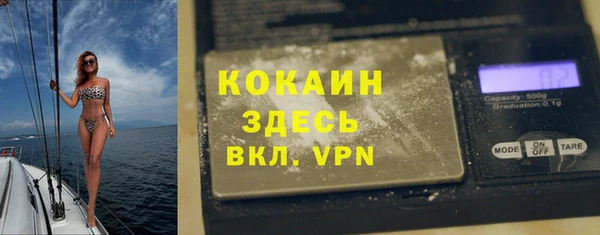 крисы Алексин