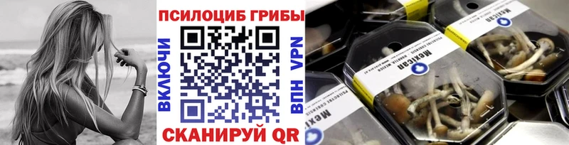 кракен ТОР  Гдов  Галлюциногенные грибы прущие грибы  где найти наркотики 